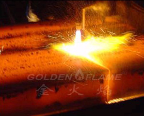 肥城金火焰工業燃氣有限公司